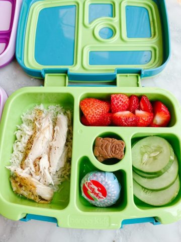 roast chicken and rice lunch box