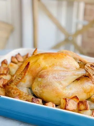 close up roast chicken and potatoes