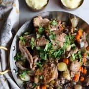 Coq au Vin with mushrooms, chicken, onions and parsley served with mashed potatoes