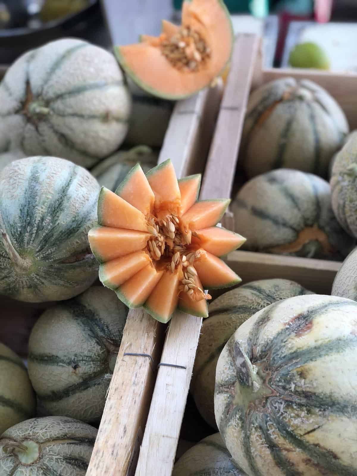 melons from the south of france at the market