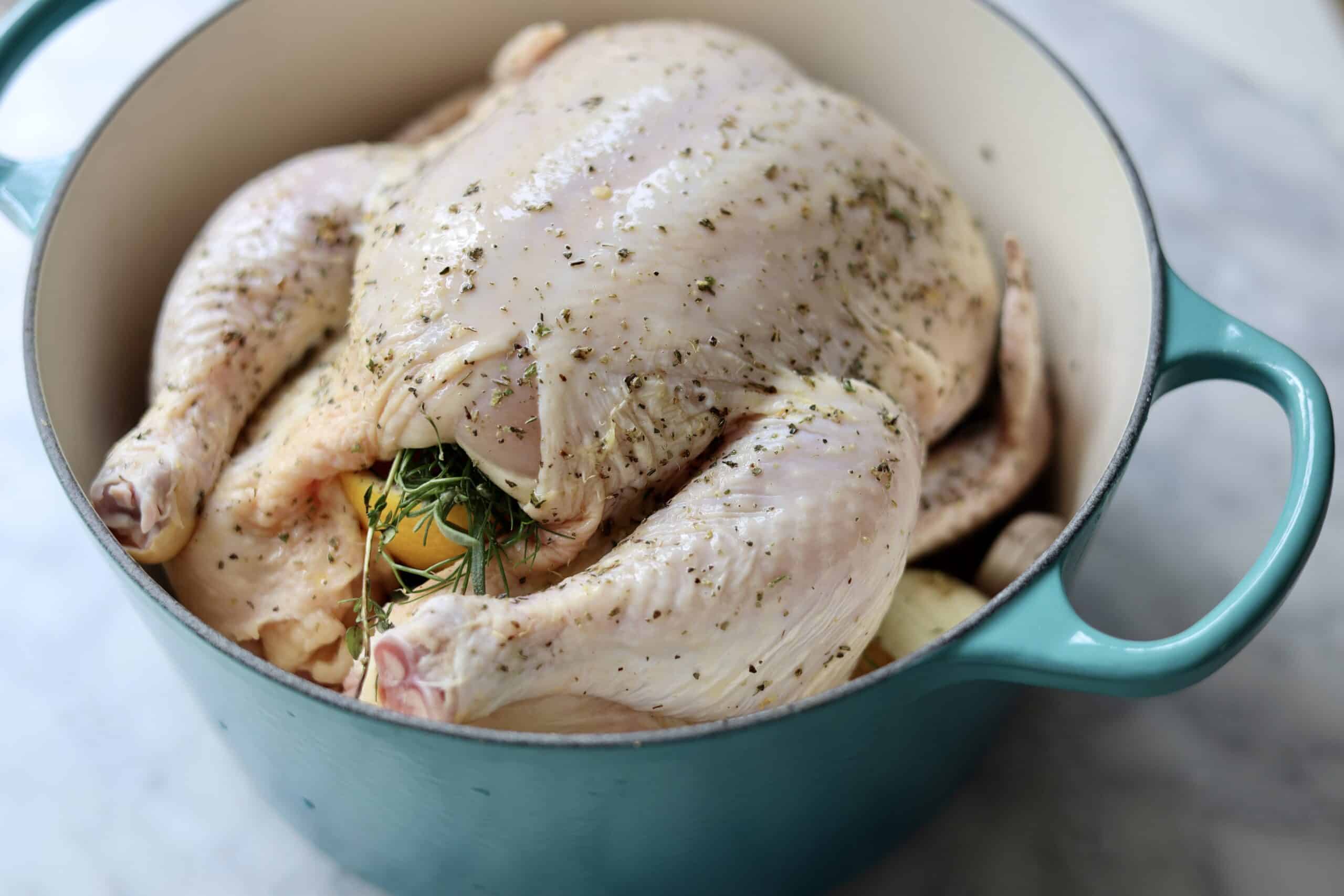 French Riviera Roast Chicken Ingredients in a dutch oven underneath a chicken with herbs and olive oil - potatoes, fennel, herbs, lemon, garlic